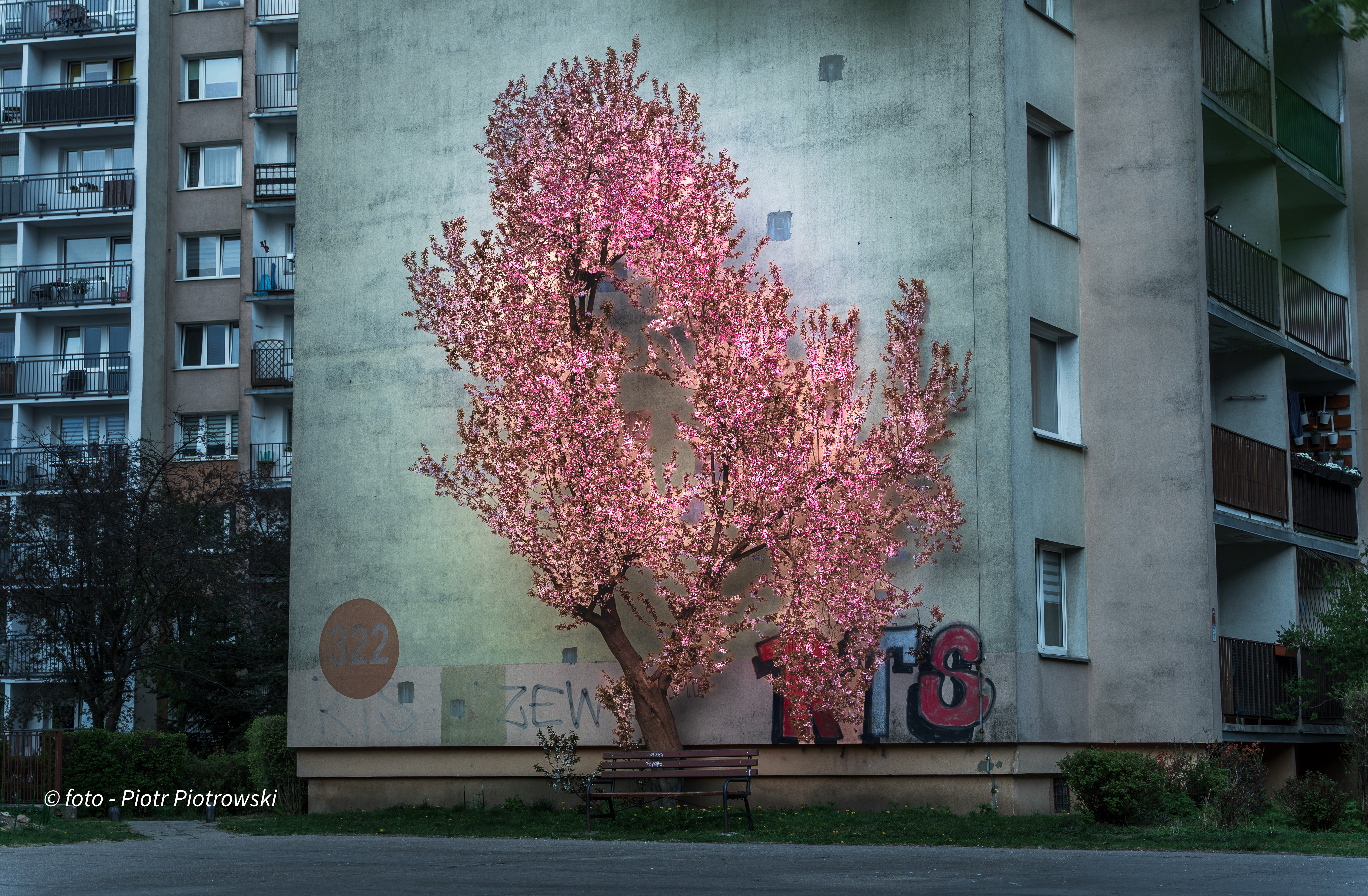 Żywy mural