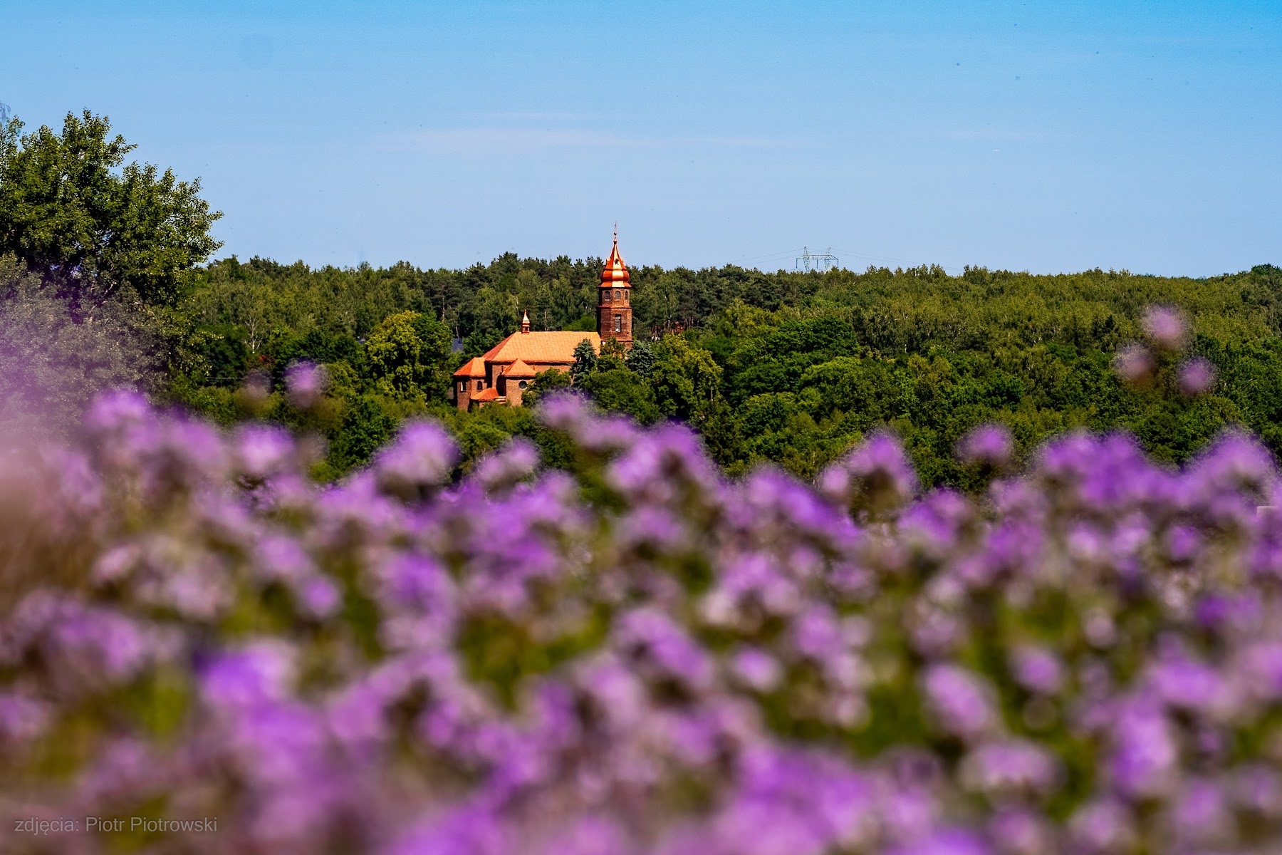 Pomiędzy